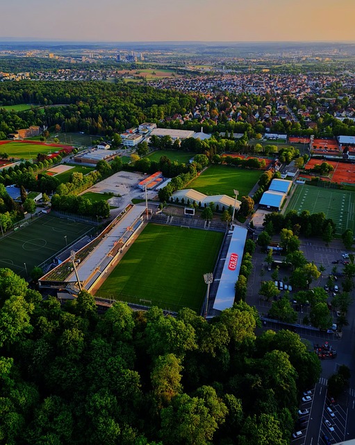 就连排名相 就连排名相