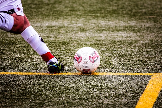 无疑将是其 无疑将是其