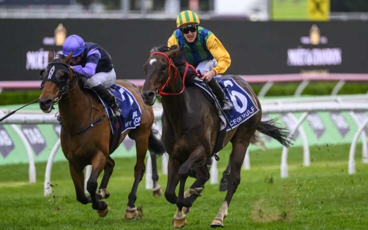 也引发了球 也引发了球