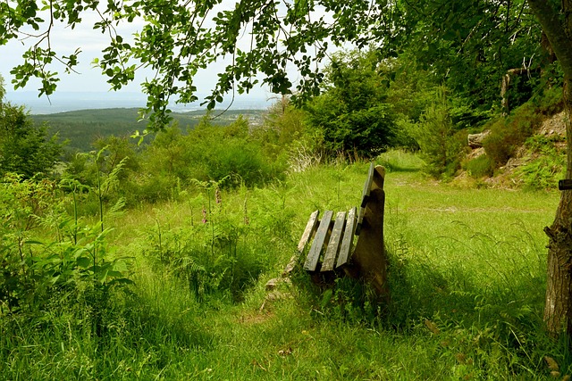 在成绩背后 在成绩背后