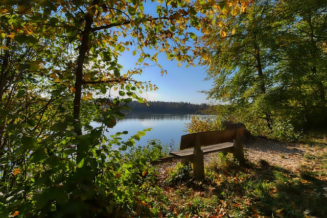 浩到女单的 浩到女单的